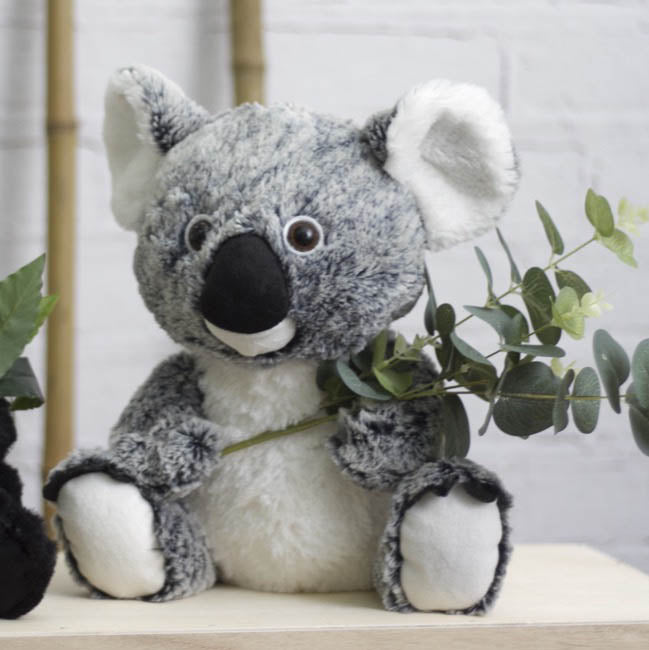 Kev Koala Bear (26cmST)