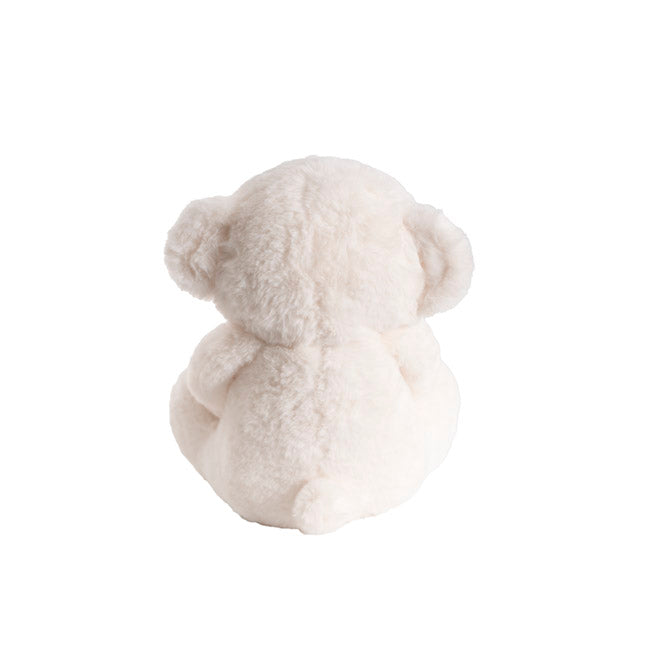 Teddy Bear Sam White (25cmST)