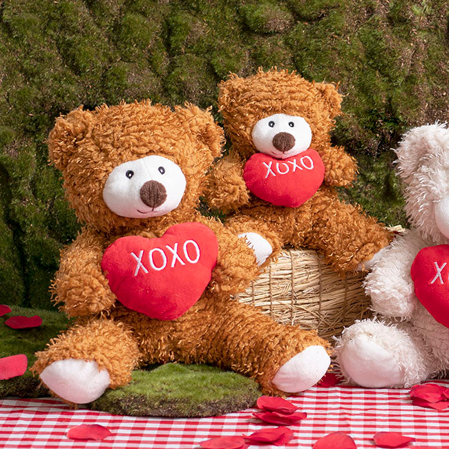 Birmingham Bear With Xoxo Heart Brown (28cmST)