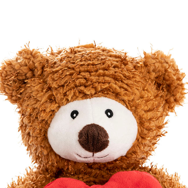 Birmingham Bear With Xoxo Heart Brown (28cmST)