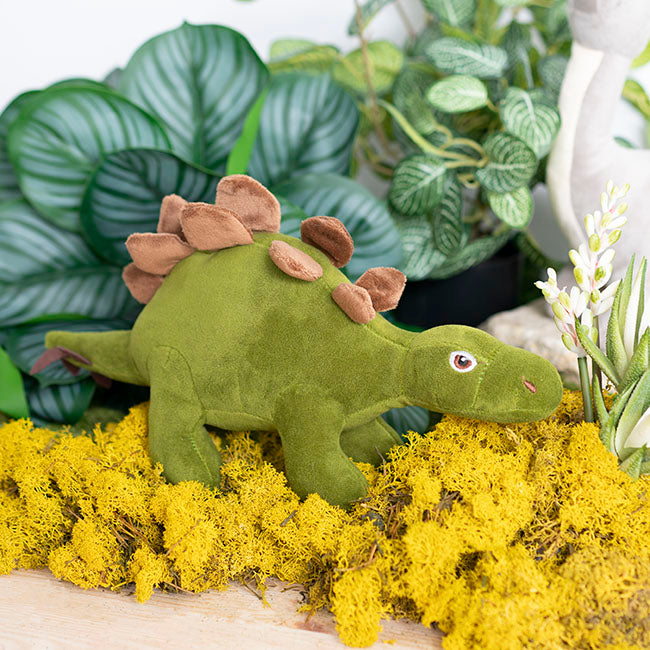 Boris Stegosaurus Dinosaur Plush Toy Olive Green (20cmHT)