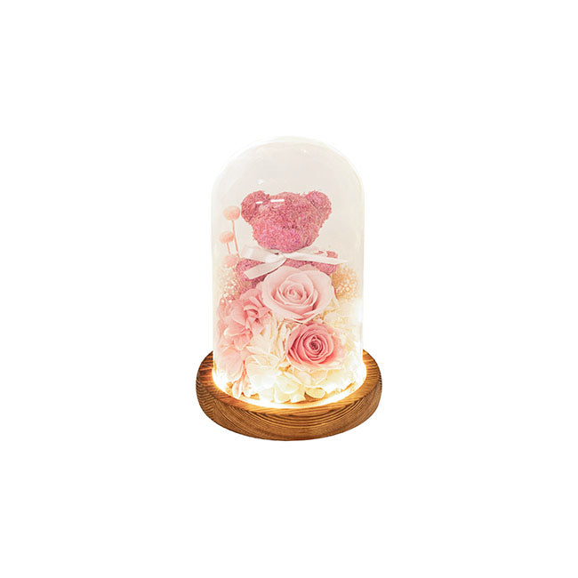 Preserved Rose Bear Hydrangea LED Cloche Soft Pink(12x20cmH)