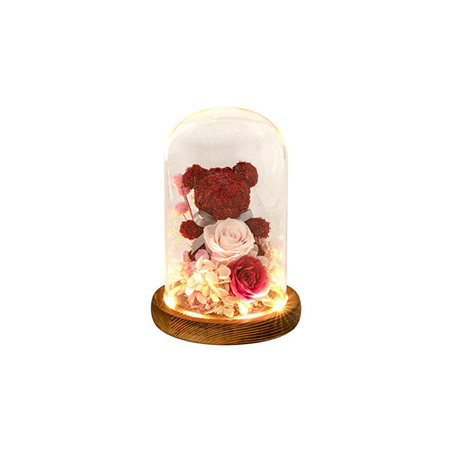 Preserved Rose Bear Hydrangea LED Cloche Red (12Wx20cmH)