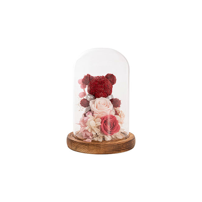 Preserved Rose Bear Hydrangea LED Cloche Red (12Wx20cmH)