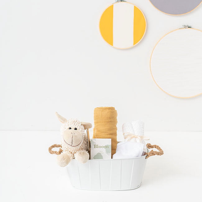 Baby Hamper Little Larry Gift Basket